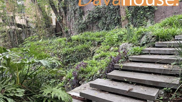 Casa en Renta en Colinas de San Angel San Pedro Garza Garcia Nuevo Leon (3)