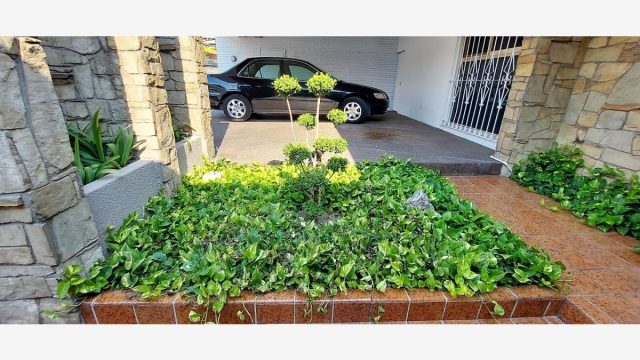 Casa en Renta en Del Valle Oriente San Pedro Garza Garcia Nuevo Leon (3)