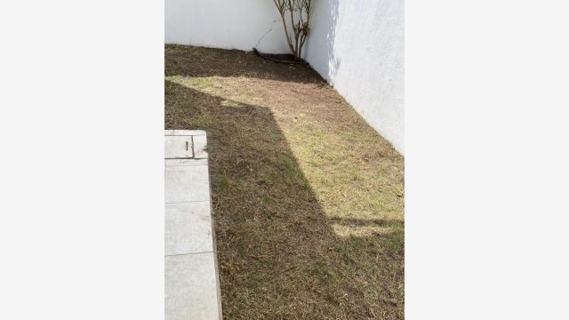 Casa en Renta en San Pablo Queretaro (6)