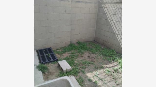 Casa en Renta en San Sebastian Zumpango Estado de Mexico (5)