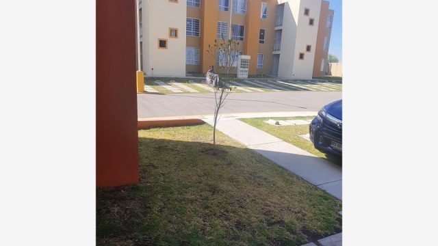 Departamento en Renta en Los Héroes San Pablo Tecamac EdoMex (2)