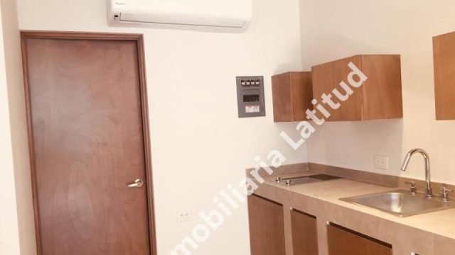 Departamento en Renta en Los Sauces 1er Sector San Pedro Garza Garcia Nuevo Leon (10)