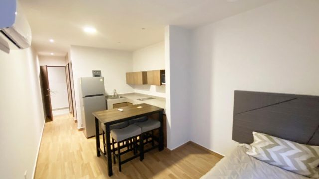 Departamento en Renta en Los Sauces 1er Sector San Pedro Garza Garcia Nuevo Leon (5)