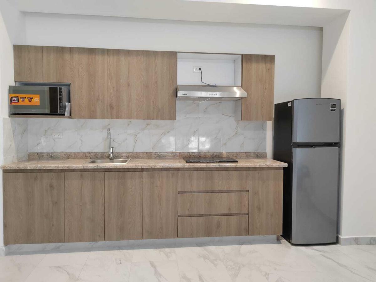 Departamento en Renta en Monterrey Centro Monterrey Nuevo Leon (3)