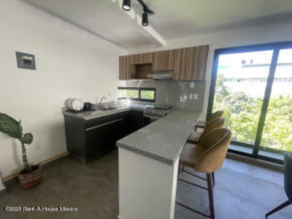 Departamento en Renta en Veronica Anzures Miguel Hidalgo CDMX (4)