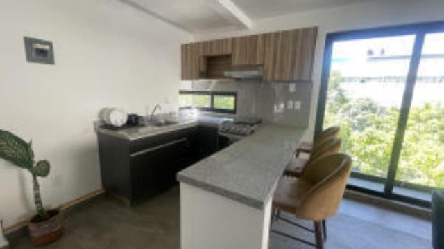 Departamento en Renta en Veronica Anzures Miguel Hidalgo CDMX (4)