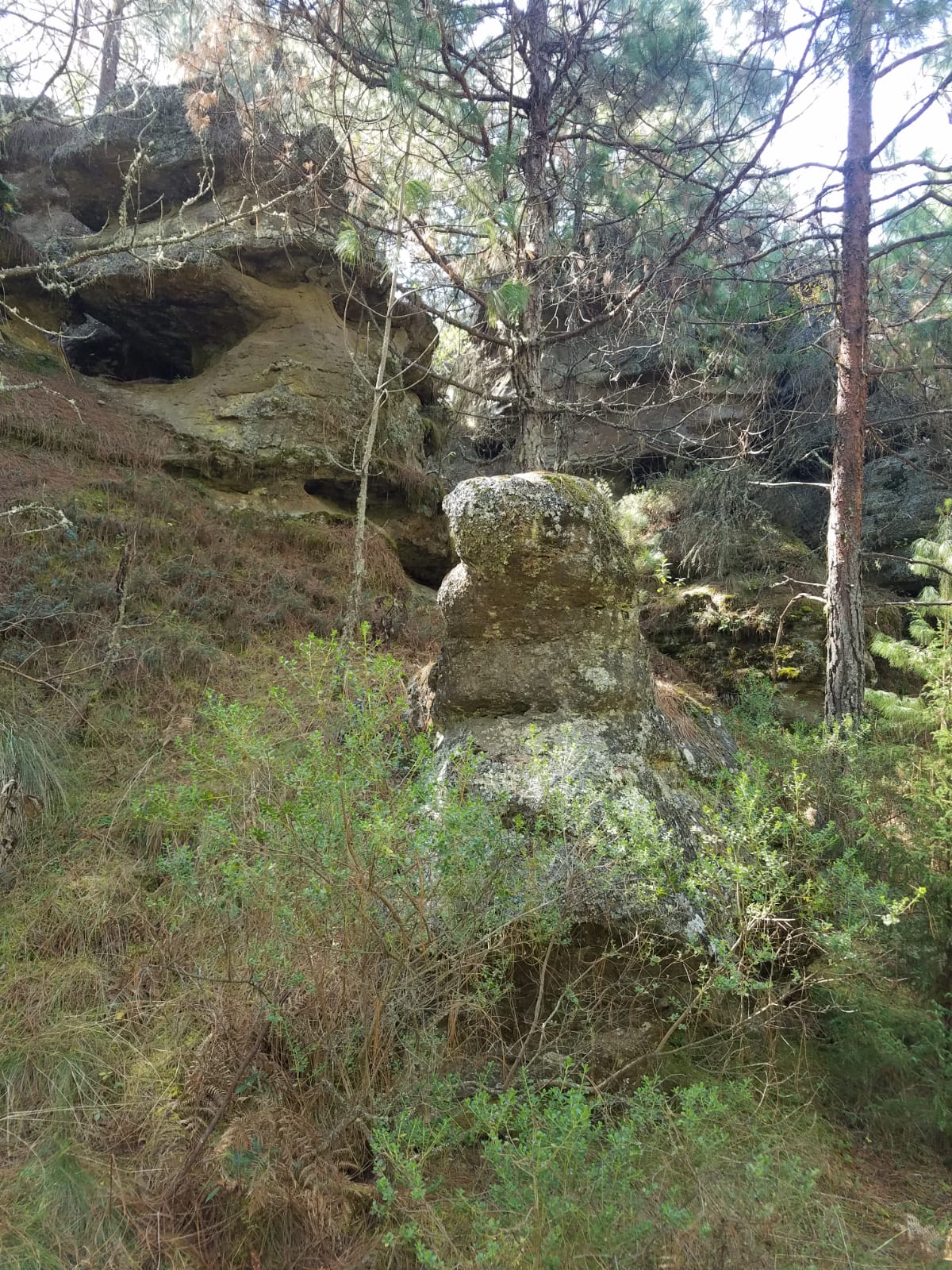 IMG 20220128 WA0008