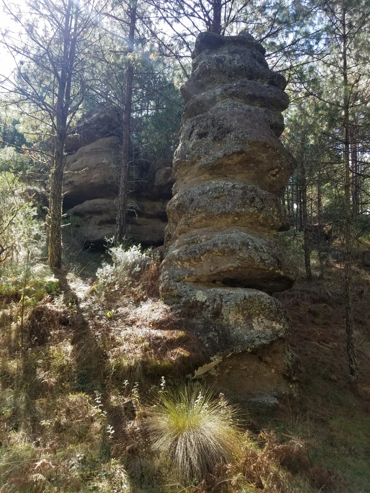 IMG 20220128 WA0009