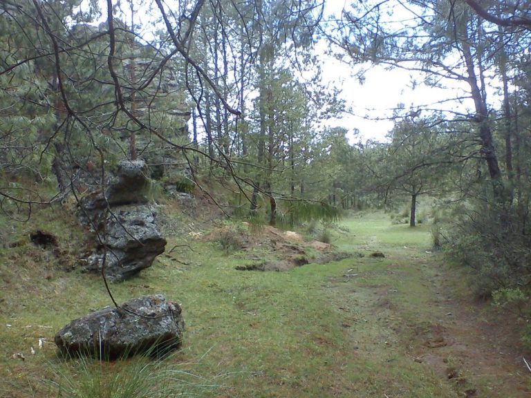 Rancho en Venta Piedras Encimadas Zacatlán Puebla México