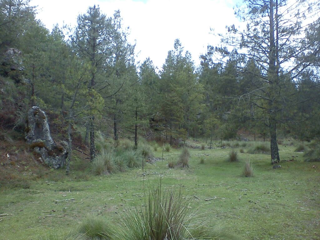 IMG 20220128 WA0019