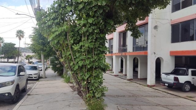 Casa en Renta Amplio Departamento 3 Recamaras Amplio Jardin acepta Mascota (5)