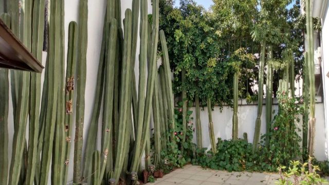 Casa en Renta en Boulevares Naucalpan de Juarez Edo Mex (6)