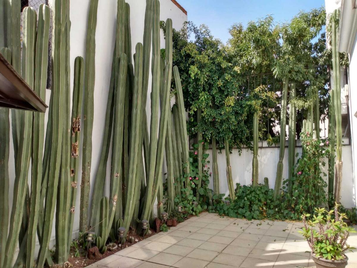 Casa en Renta en Boulevares Naucalpan de Juarez Edo Mex (6)