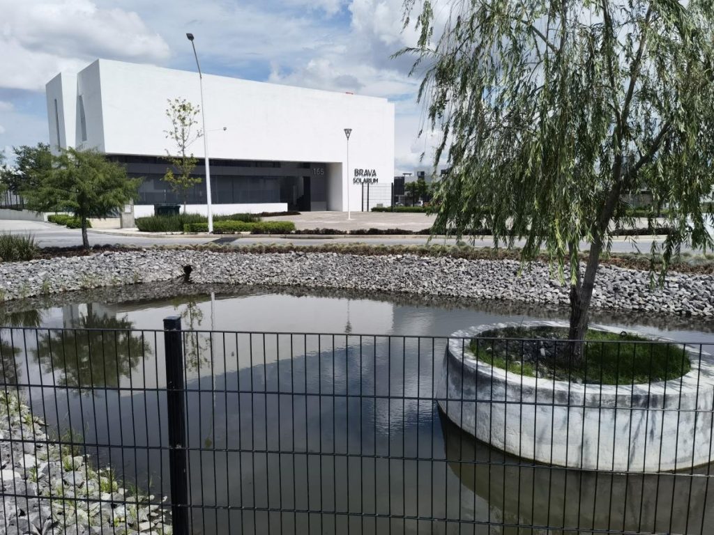 Casa en Renta en Los Tulipanes Guadalajara Jalisco (8)