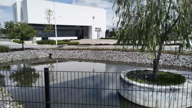 Casa en Renta en Los Tulipanes Guadalajara Jalisco (8)