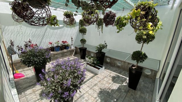 Casa en Renta en Tepeyac Insurgentes Gustavo A Madero CDMX (1)