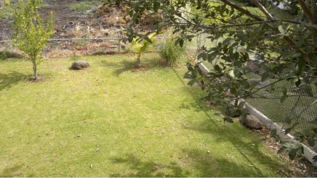 Casa en Venta en San Miguel Cuyutlan Tlajomulco de Zuñiga Jalisco (1)