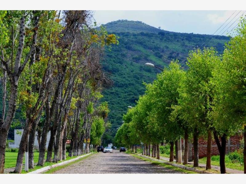 Casa en Venta en San Miguel Cuyutlan Tlajomulco de Zuñiga Jalisco (4)