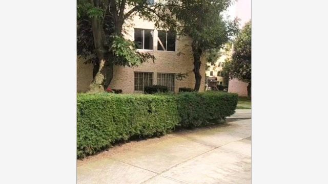 Departamento en Renta en Campestre del Valle Metepec Estado de Mexico (2)