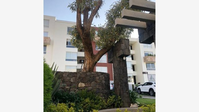 Departamento en Renta en Miguel Hidalgo 4A Sección Tlalpan CDMX (8)