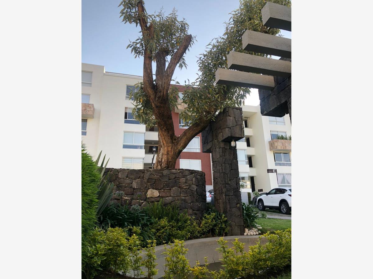 Departamento en Renta en Miguel Hidalgo 4A Sección Tlalpan CDMX (8)