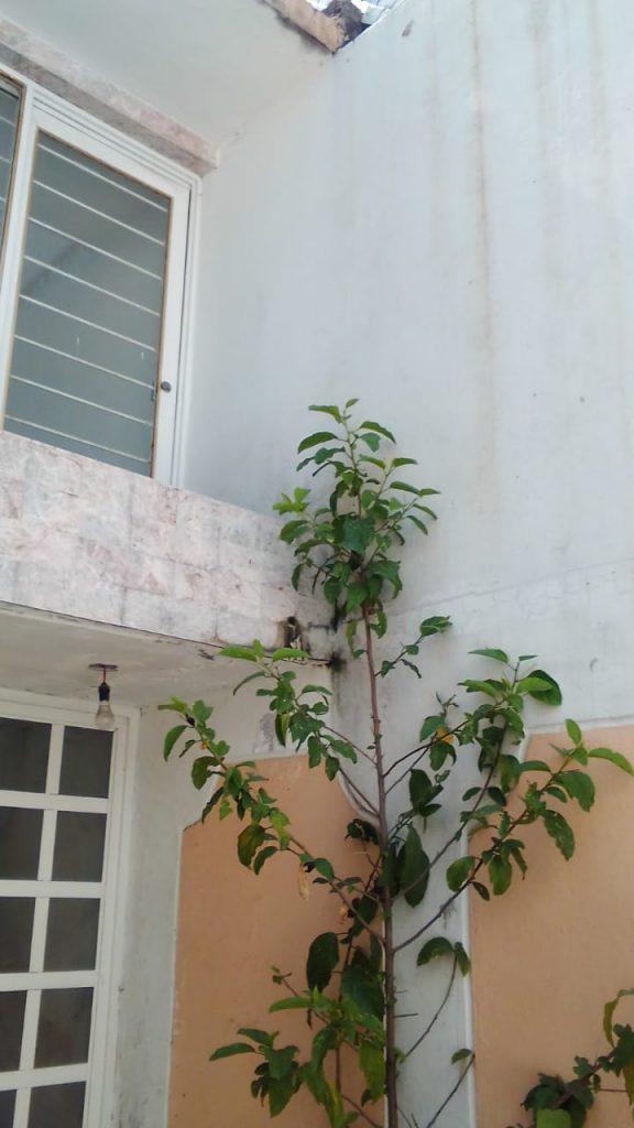 IMG 20230921 WA0010