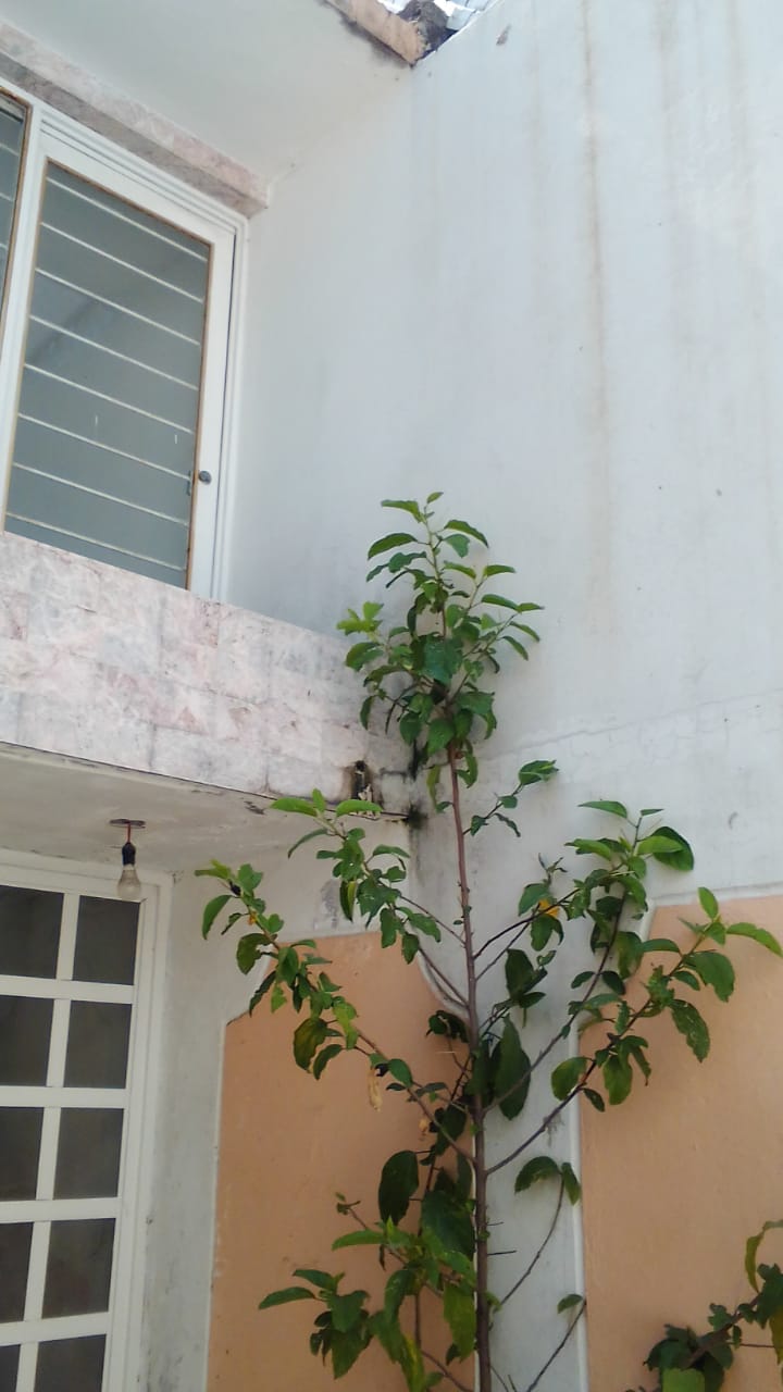IMG 20230921 WA0010