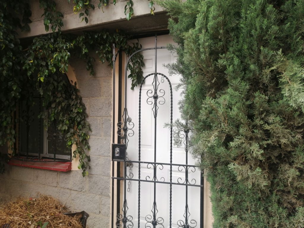 IMG 20230801 151440 copia