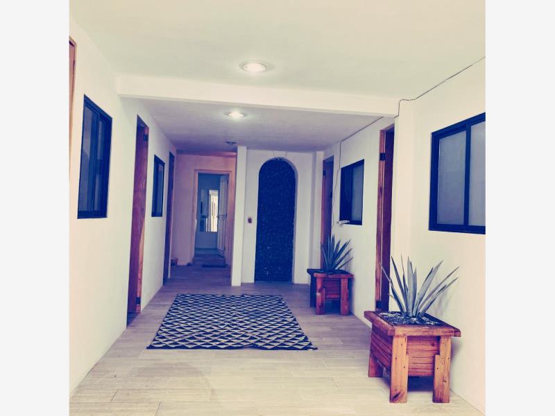 Roomie Habitaciones en Renta Departamento en Villa Lazaro Cardenas Tlalpan CDMX (7)