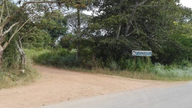 Terreno en Venta Lote de 160 M2 en Ocozocoautla Chiapas (1)