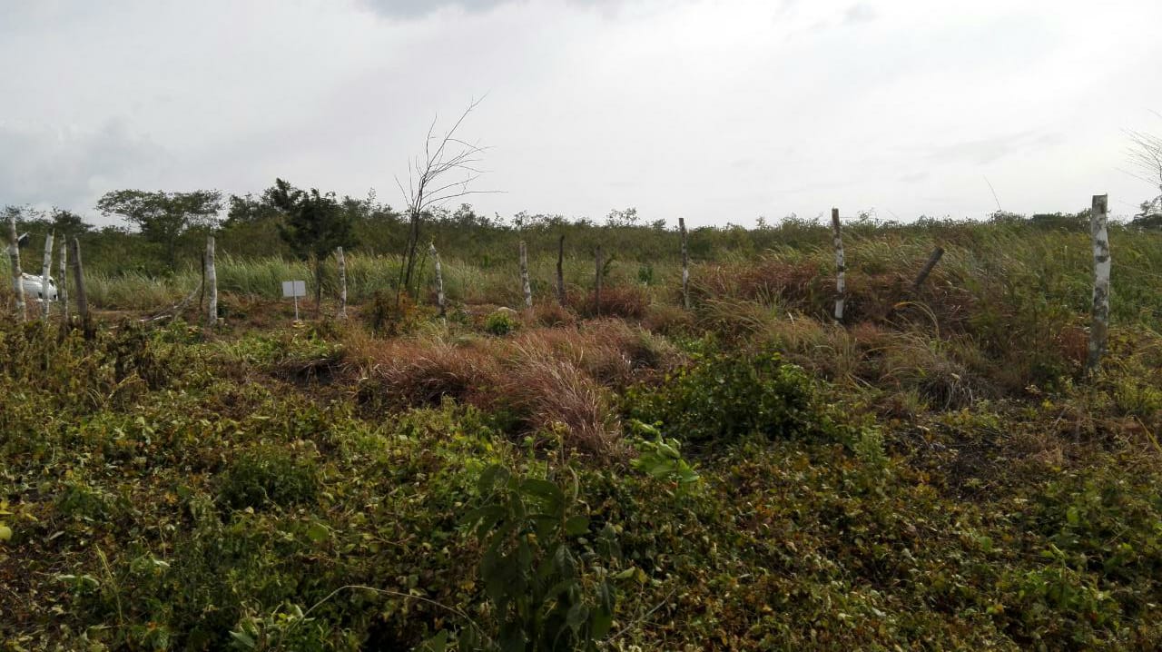 Terreno en Venta Lote de 160 M2 en Ocozocoautla Chiapas (10)