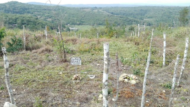 Terreno en Venta Lote de 160 M2 en Ocozocoautla Chiapas (2)