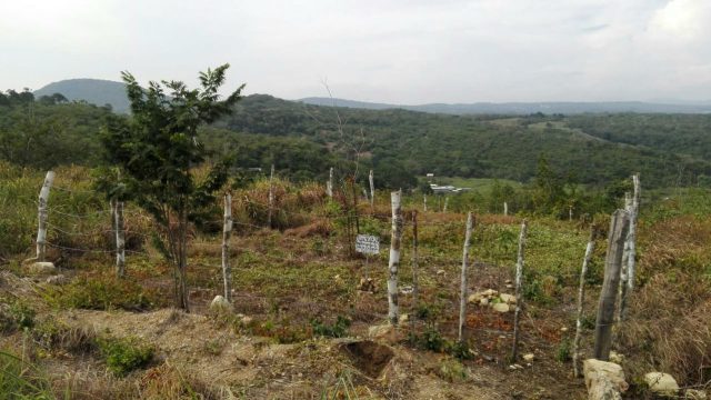 Terreno en Venta Lote de 160 M2 en Ocozocoautla Chiapas (4)