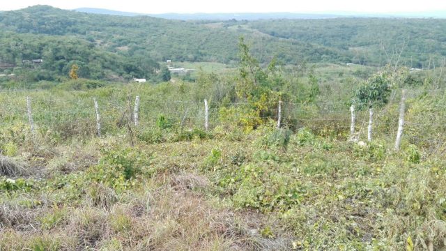 Terreno en Venta Lote de 160 M2 en Ocozocoautla Chiapas (5)