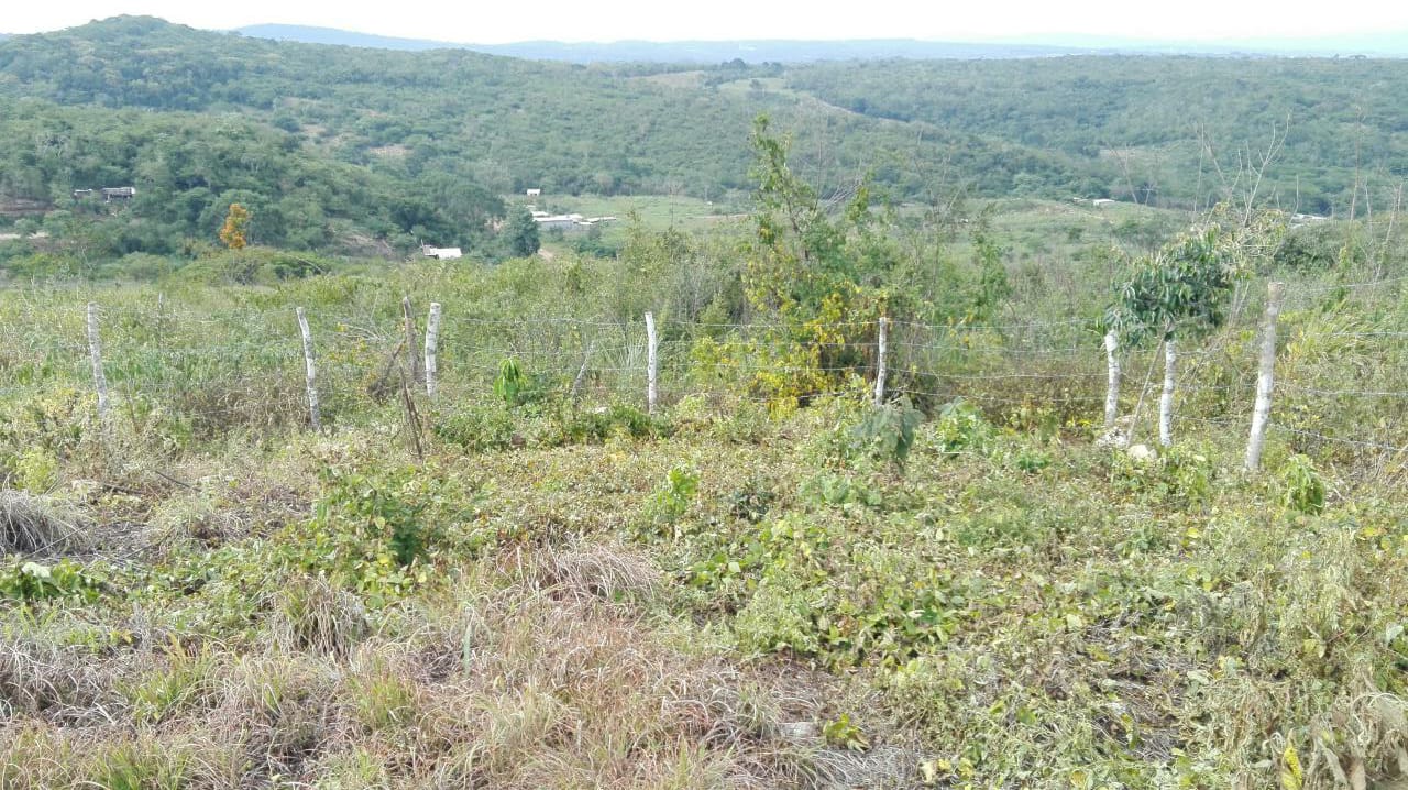 Terreno en Venta Lote de 160 M2 en Ocozocoautla Chiapas (5)