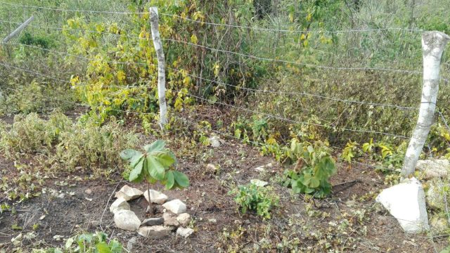 Terreno en Venta Lote de 160 M2 en Ocozocoautla Chiapas (6)