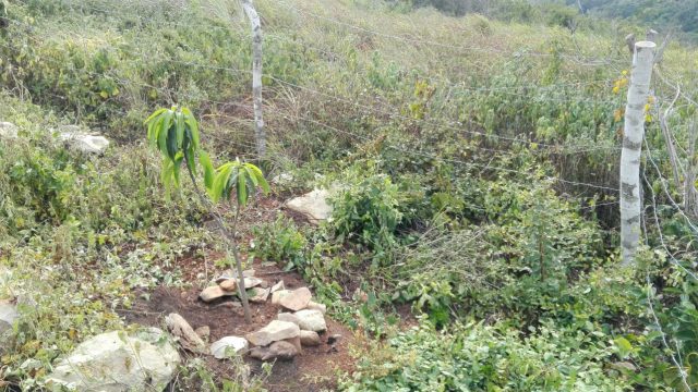 Terreno en Venta Lote de 160 M2 en Ocozocoautla Chiapas (7)