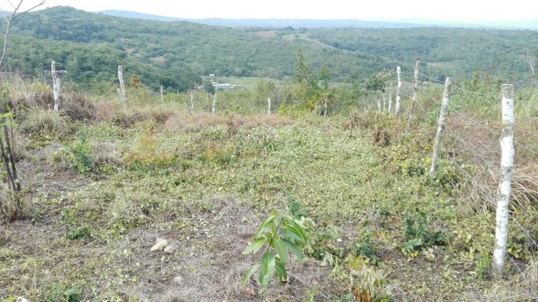Terreno en Venta Lote de 160 M2 en Ocozocoautla Chiapas
