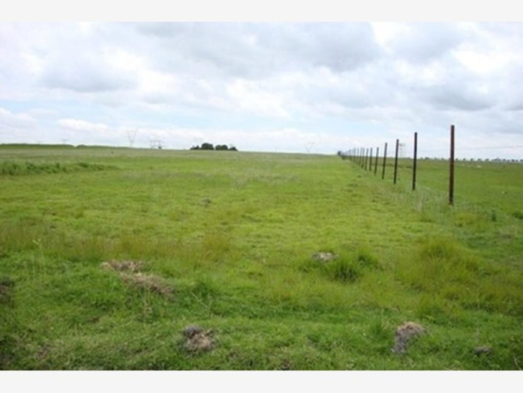 Terreno en Venta en San Pedro Almoloya de Juarez Estado de Mexico (3)