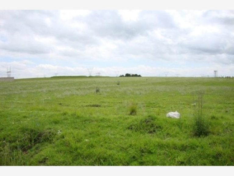 Terreno en Venta SUP 49,000 M2 en San Pedro Almoloya de Juarez Estado de Mexico