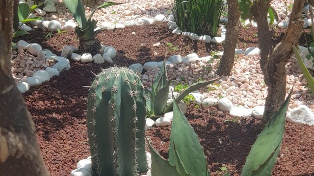 WhatsApp Image 2023 09 28 at 5.29.13 PM (1)