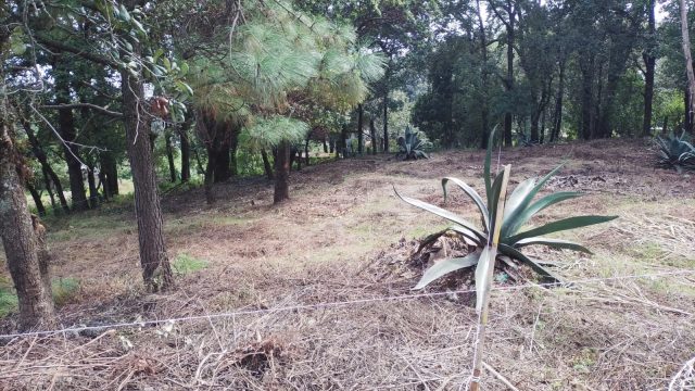 WhatsApp Image 2023 10 22 at 10.57.19 AM