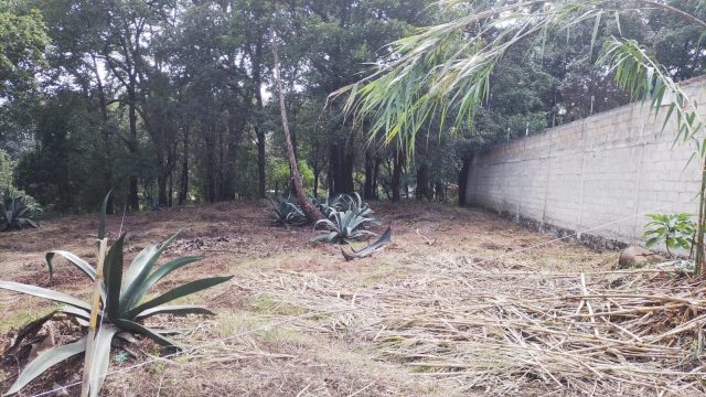 WhatsApp Image 2023 10 22 at 10.57.20 AM