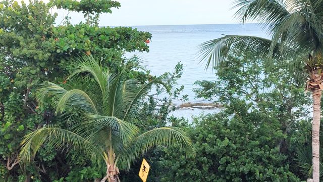 bc74b72e f17c 4b73 8480 591eecc0a4e2