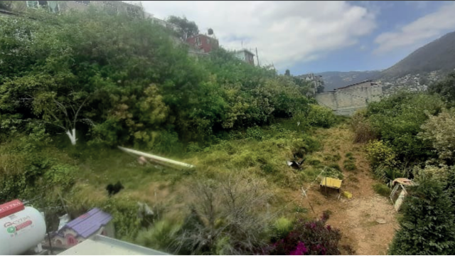 fvfvefsdvfvsdvsdvsfdvsfdvfv