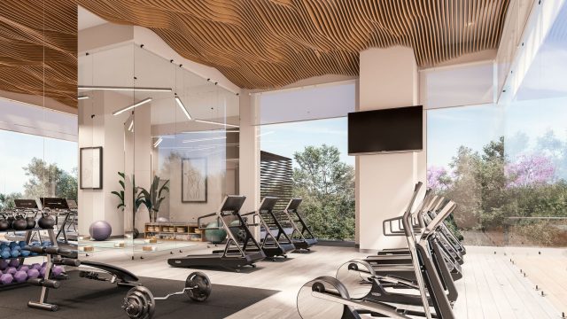 galeria fitness 1 scaled