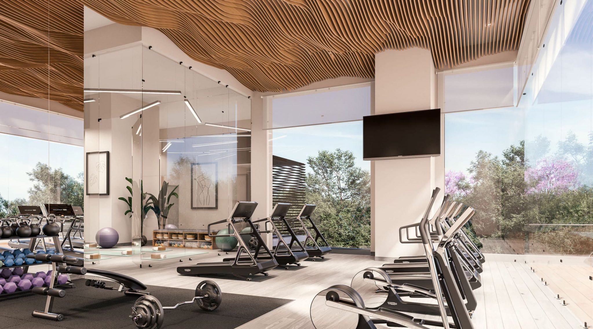 galeria fitness 1 scaled