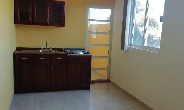 4952010289591724081 120