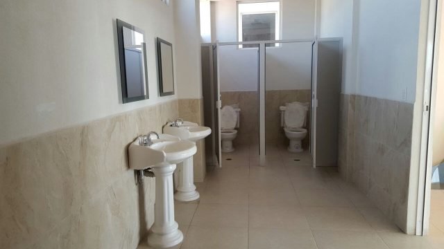 4965243753845598273 121