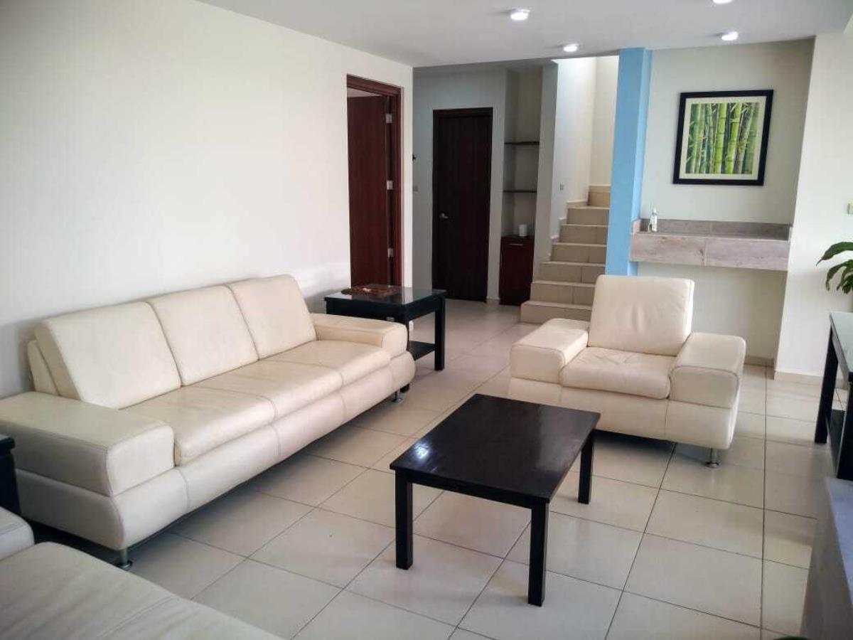 Casa en Renta en Villaverde San Luis Potosi (3)